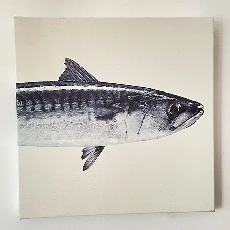 Bertoko Urdaibai Ii דירה