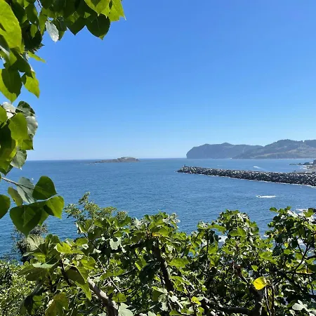 Bertoko Urdaibai Ii *