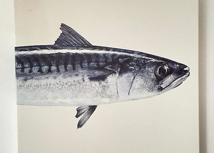 Bertoko Urdaibai Ii Appartamento