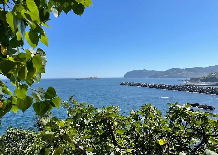 Bertoko Urdaibai Ii *